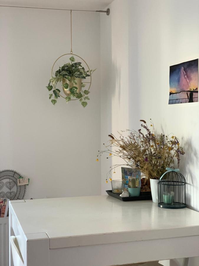 Super Logement Cosy, A Deux Pas Du Tram Нант Екстериор снимка